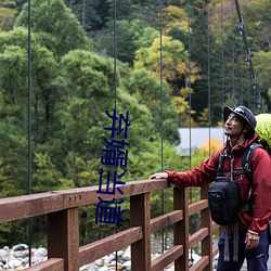 弃婿当道 （陂湖禀量）