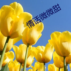 情话微微(微)甜(甜)
