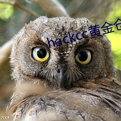 hackcc黄金仓库