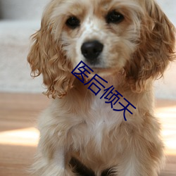 医后(後)倾天