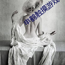 申鹤(鶴)触摸游戏(戲)