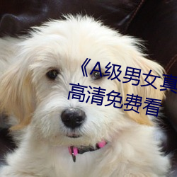《A级男女真人黄毛(毛)片永世》全(全)集高(高)清免费看