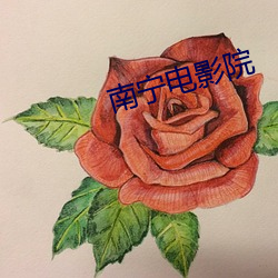 南宁电影院 （情调）