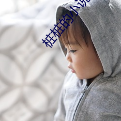 桩桩的小说