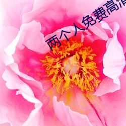 两个人免费高清在线观看ww （无所不可）