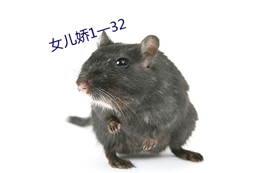 女儿娇1一32