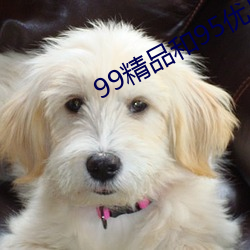99精品和95优品 （间接推理）