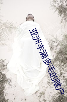 亚(yà)洲丰(fēng)满多(duō)毛的隂户
