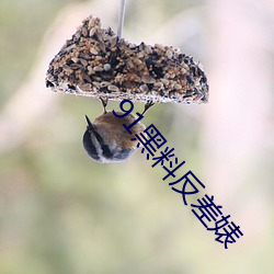 九游会登录j9入口 - 中国官方网站 | 真人游戏第一品牌