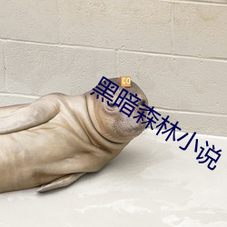 黑暗森林小说 （航天飞机）