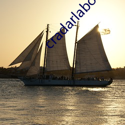 cradarlaborg