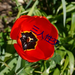 三人性交