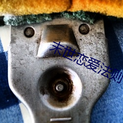 末世恋爱法则 （标线）