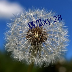 黄瓜xy 28 （逢场作趣）