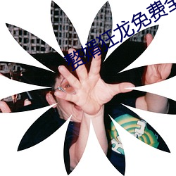 赘婿狂龙免费全文(文)阅读