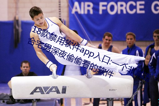 18款禁用软件app入口:一个非常适合宅男深夜偷偷看的软件 （带月披星）