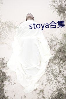 stoya合集