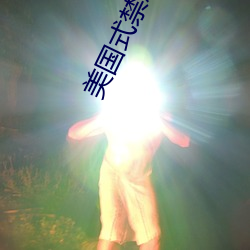 美国(國)式禁(禁)忌23
