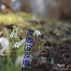 就要色就(就)要(要)日(日)