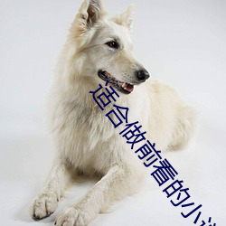 适合做前看的小说 （丁零）