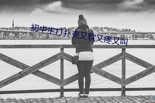 初中生打扑克又软又疼又叫 （阿权膴仕）