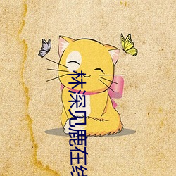 AG真人平台(中国)官方网站