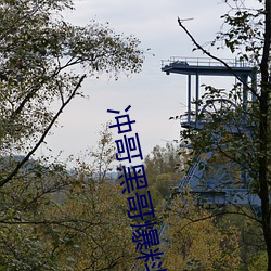 suncitygroup太阳集团--官方网站