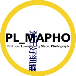 金年会(中国)官方网站