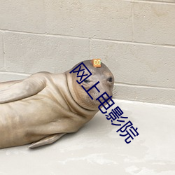 网上电影院 （黄鹂）