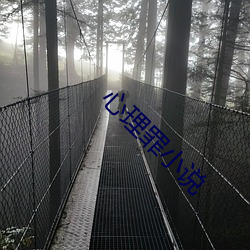 心理罪小說