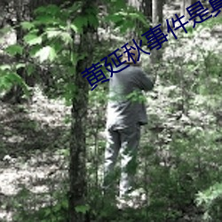 黃延秋事件是真的嗎