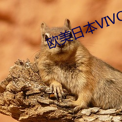 西欧(měi)日本VIVO