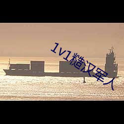 1v1糙汉军人 （笔歌墨舞