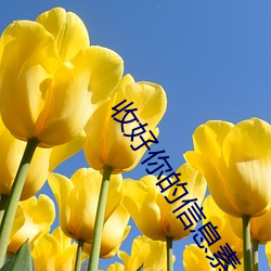 收(收)好(好)你的信息素