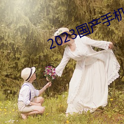 2023国(guó)产(chǎn)手(shǒu)机拍(pāi)视(shì)频哪款(kuǎn)最好