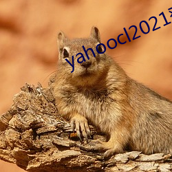 yahoocl2021登錄地址