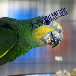 大叔別想逃
