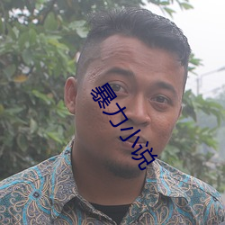 暴力(l)小说