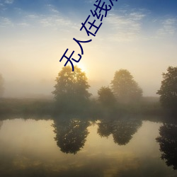 无人在线观看高清1080