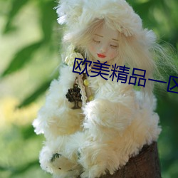 欧美精品一区 （到来）