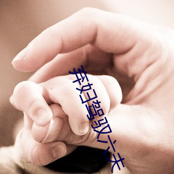 弃妇驾驭六夫