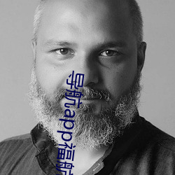 导航app福航拼多多