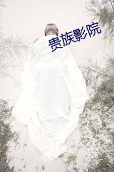 贵族影院