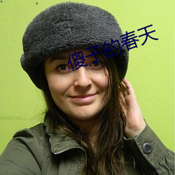 傻子的春天
