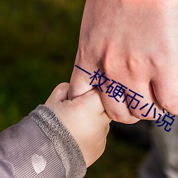 一枚硬币小说(說)