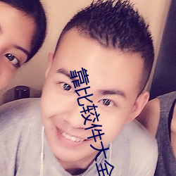 靠比较件大全 （负材任气）
