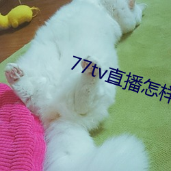 77tv直播怎样下载