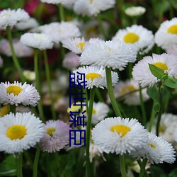 盛世(shì)谋(móu)臣