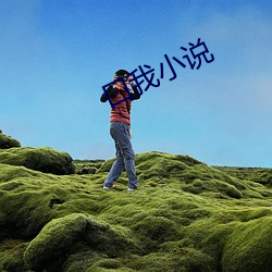 口我小說