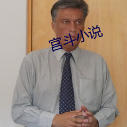宫斗小说